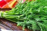 Fresh Herbs