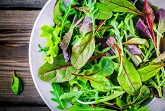 Green Leafy Salads