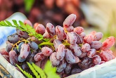 Grapes
