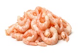 Shrimps