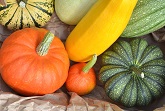 Squash & Pumpkins