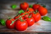 Tomatoes