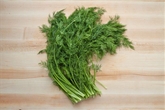 Goodness Gardens Organic Dill (0.75 OZ)