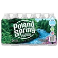 Poland Spring (Case24)