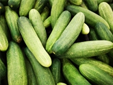 Cucumbers