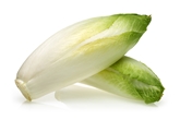 Endive White