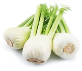 Fennel