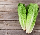 Lettuce Green Leaf