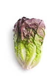 LOCAL Red Leaf Lettuce