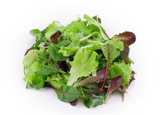 Mesclun Lettuce Salad