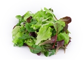 Mesclan Lettuce Salad