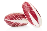 Radicchio Trevisano