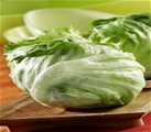 Iceberg Lettuce