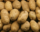 Idaho Baking Potato