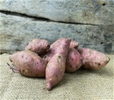 Organic Garnet Yams