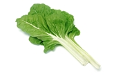 Organic Green Swiss Chard