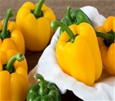 Holland Yellow Peppers