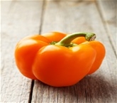 Holland Orange Peppers