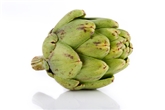 Artichokes Baby