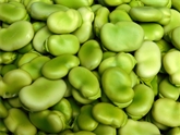 Fava Beans