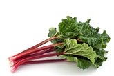 Rhubarb
