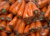 Carrots (Large Bag)