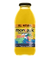 Montauk Mango Green Tea (16oz)