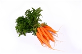 Baby Carrots By The Bunch