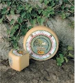Pecorino Toscana Fresh Dop