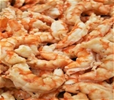 Jumbo White Shrimp, Cooked