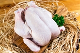 Chicken Giannone F.R