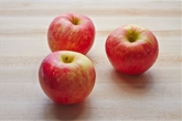 KANZI APPLE