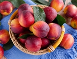 White Nectarines Small