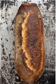 Whole Wheat Pane Puglesi