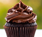 Large Chocolate Cupcake with Chocolate Buttercream Frosting