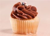 Mini Vanilla Cupcake with Chocolate Buttercream Frosting