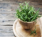Rosemary A&V