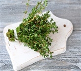 Thyme A&V
