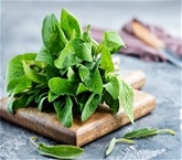 A&V Sage