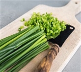 Chives A&V