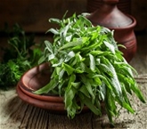 Tarragon A&V