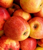 Cosmic Crisp Extra Fancy Apple