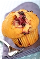 BLUEBERRY MUFFIN LG
