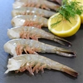 U-6 Shrimp Raw Shell On