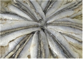 Marinated Anchovy Filets