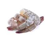 Large Shell-On White Shrimp