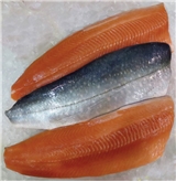 Arctic Char Fillet