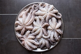 Octopus Spanish Large Whole