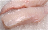 Monkfish Filet