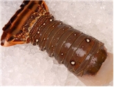 Wild Brazilian Lobster Tails (8Oz)